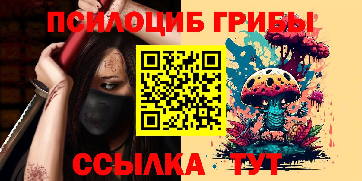 Аргун  Галлюциногенные грибы GOLDEN TEACHER  Вход с VPN 